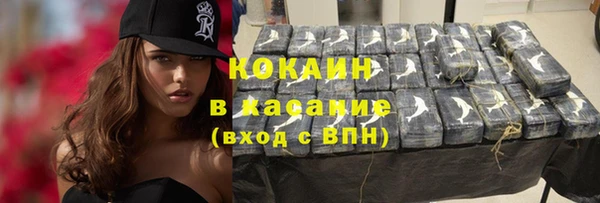 шишки Володарск
