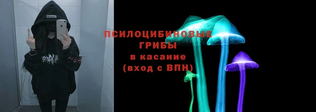 мескалин Кулебаки