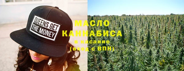 шишки Володарск